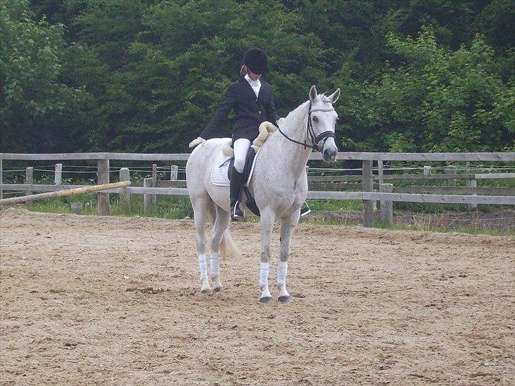 Stævne Ebeltoft Rideklub ;-) billede 94