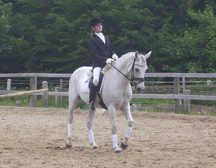 Stævne Ebeltoft Rideklub ;-) billede 95