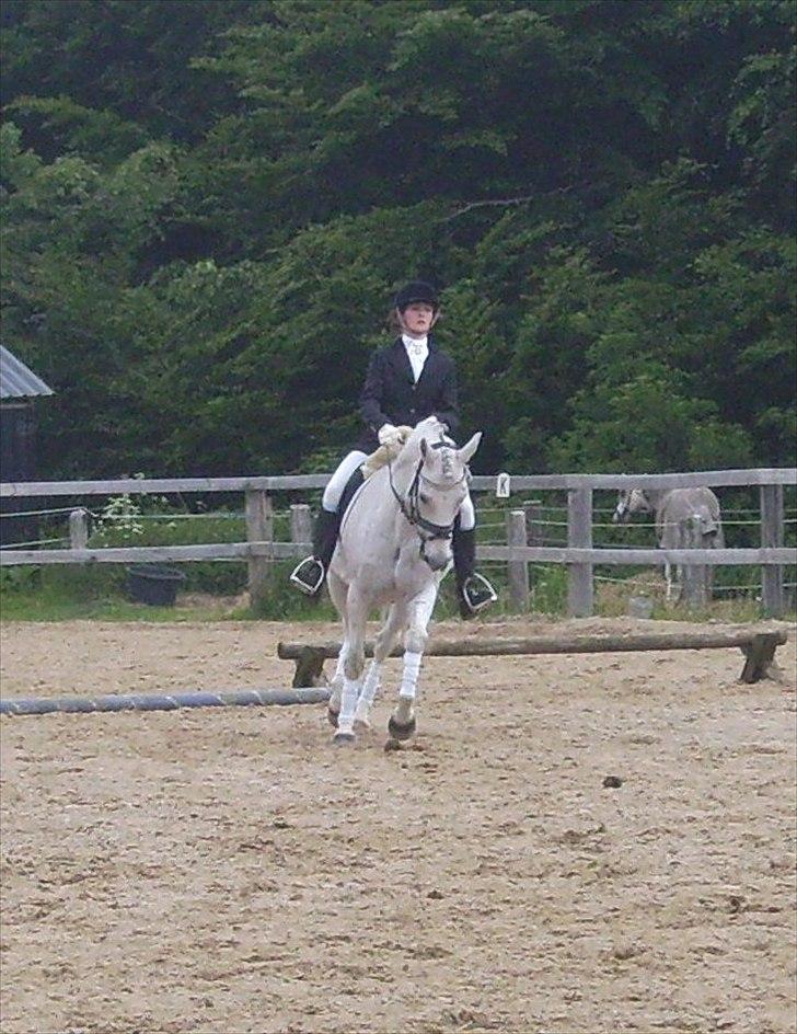 Stævne Ebeltoft Rideklub ;-) billede 96