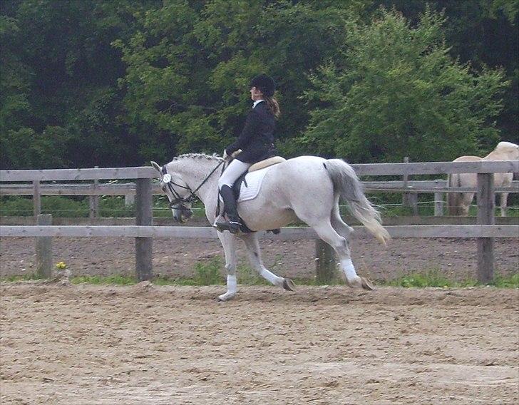 Stævne Ebeltoft Rideklub ;-) billede 97