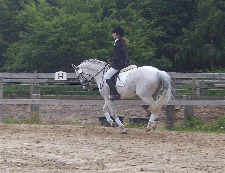 Stævne Ebeltoft Rideklub ;-) billede 98