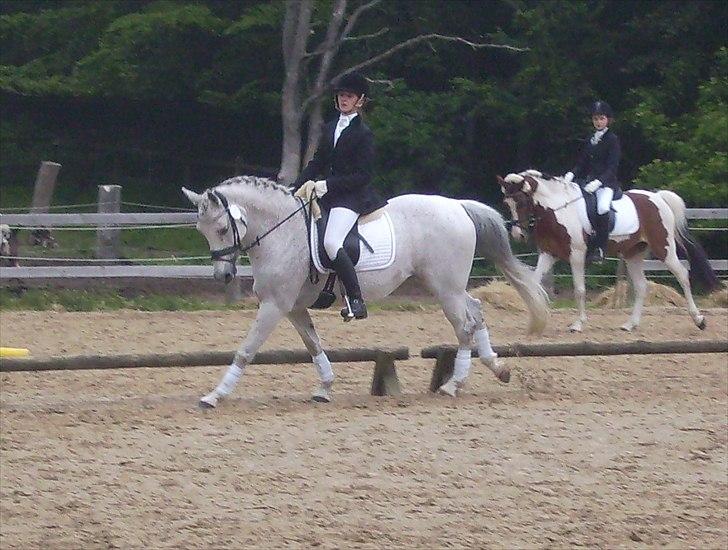 Stævne Ebeltoft Rideklub ;-) billede 99