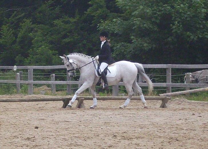 Stævne Ebeltoft Rideklub ;-) billede 100