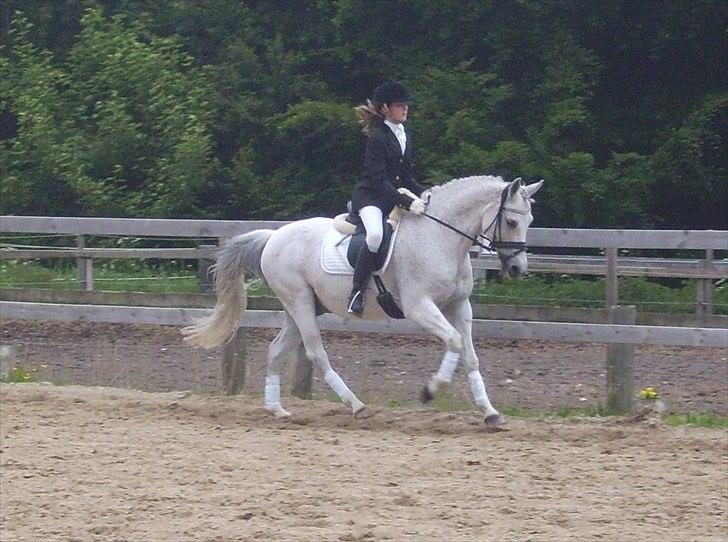 Stævne Ebeltoft Rideklub ;-) billede 101