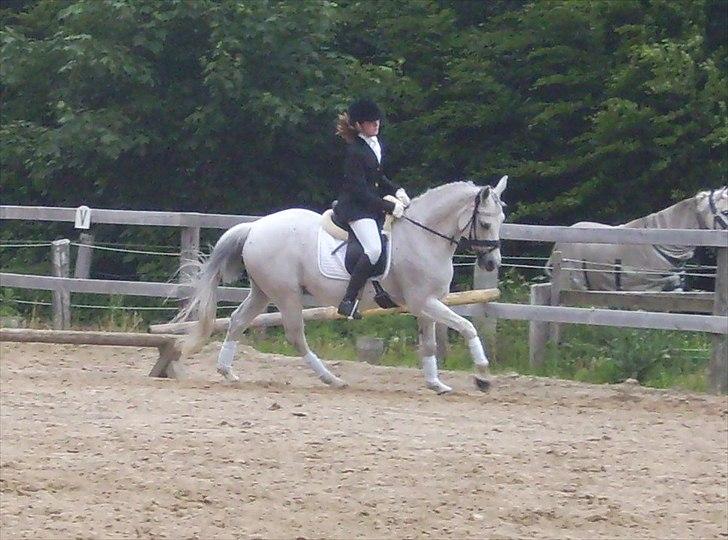 Stævne Ebeltoft Rideklub ;-) billede 102