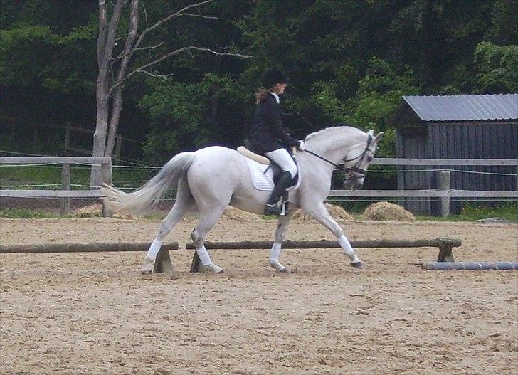 Stævne Ebeltoft Rideklub ;-) billede 103