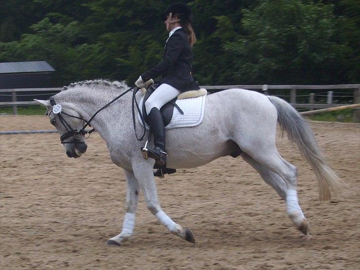 Stævne Ebeltoft Rideklub ;-) billede 104