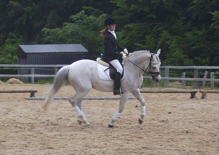 Stævne Ebeltoft Rideklub ;-) billede 105