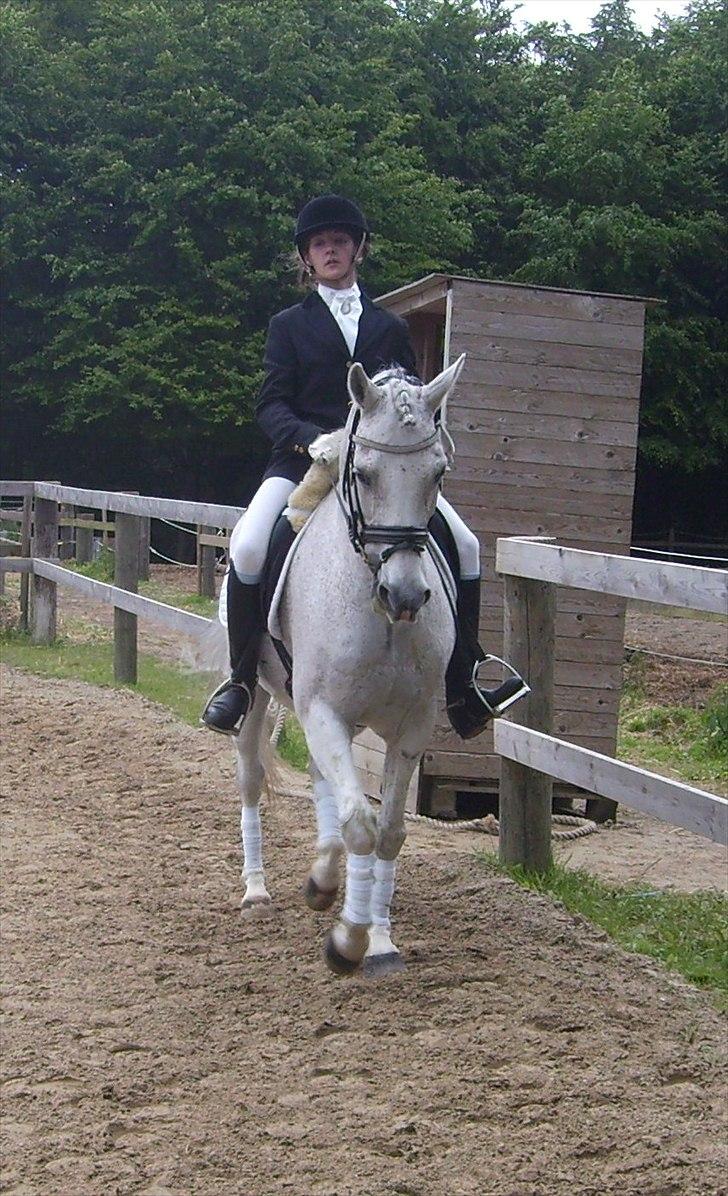 Stævne Ebeltoft Rideklub ;-) billede 106