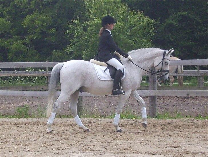 Stævne Ebeltoft Rideklub ;-) billede 107