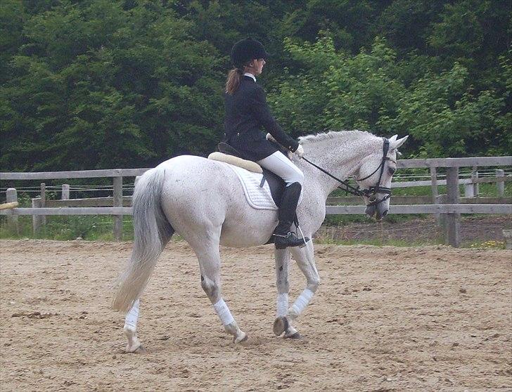 Stævne Ebeltoft Rideklub ;-) billede 108