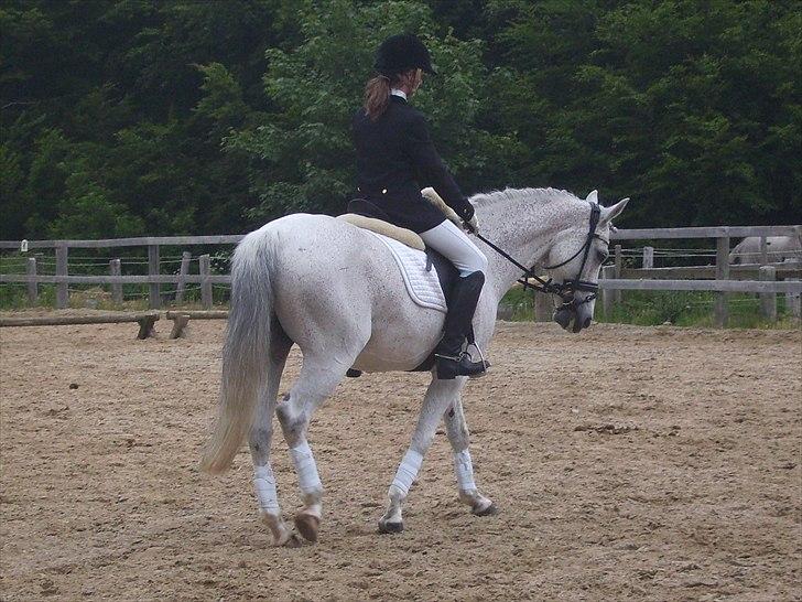 Stævne Ebeltoft Rideklub ;-) billede 109