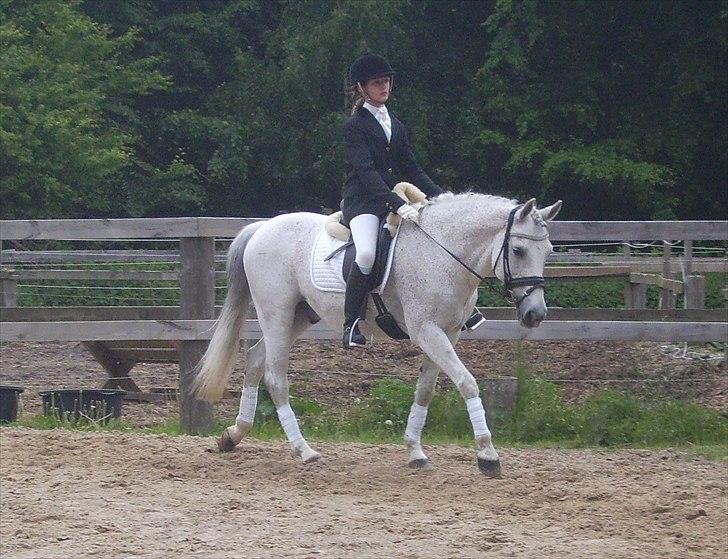 Stævne Ebeltoft Rideklub ;-) billede 110