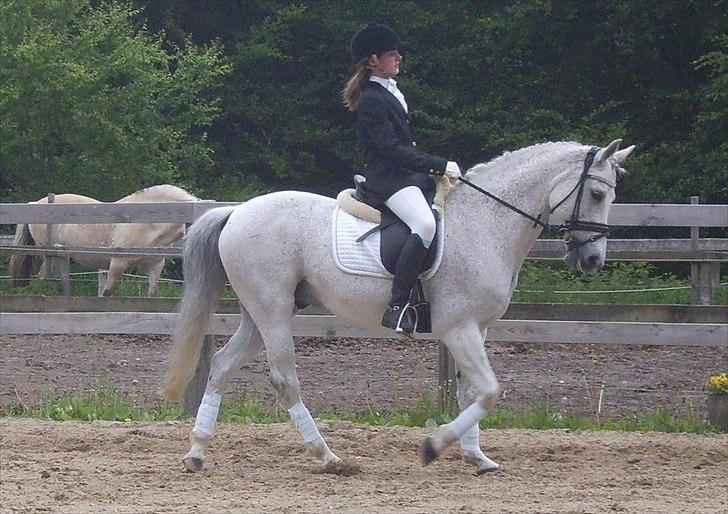 Stævne Ebeltoft Rideklub ;-) billede 111