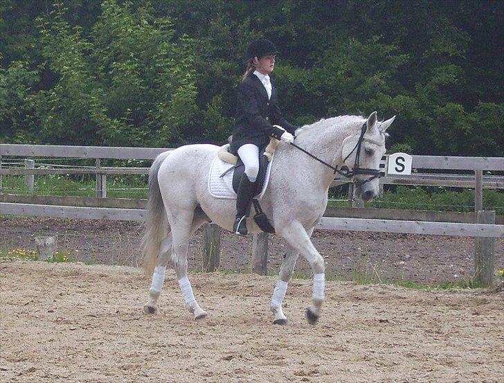 Stævne Ebeltoft Rideklub ;-) billede 112