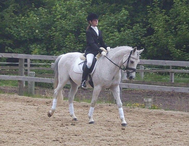 Stævne Ebeltoft Rideklub ;-) billede 113