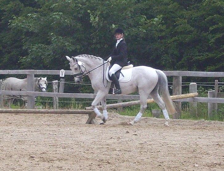 Stævne Ebeltoft Rideklub ;-) billede 114