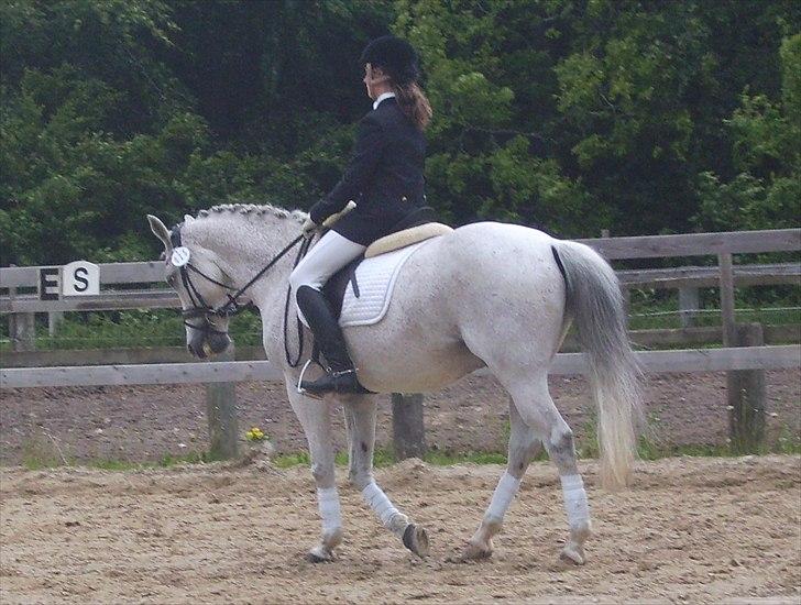 Stævne Ebeltoft Rideklub ;-) billede 115