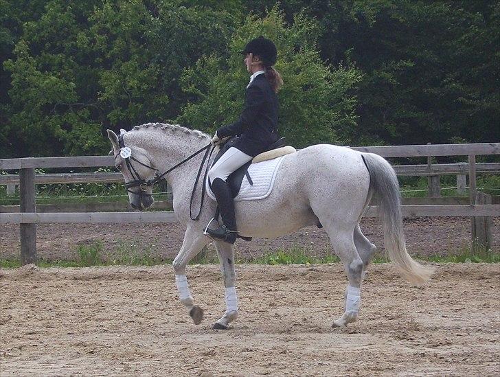 Stævne Ebeltoft Rideklub ;-) billede 116