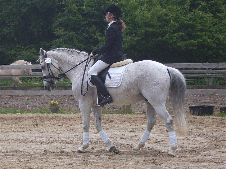 Stævne Ebeltoft Rideklub ;-) billede 117