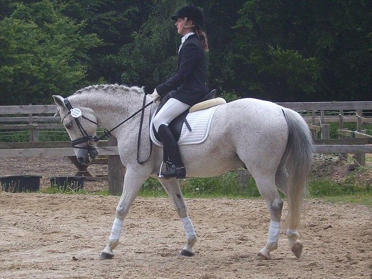 Stævne Ebeltoft Rideklub ;-) billede 118