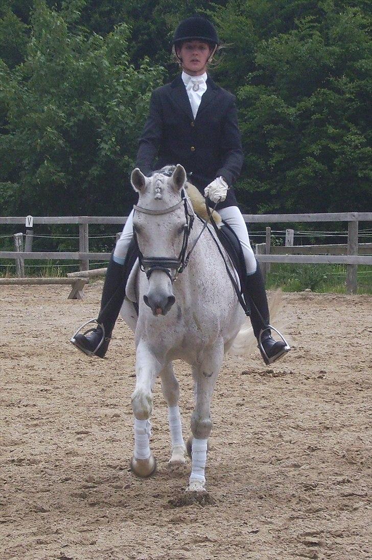 Stævne Ebeltoft Rideklub ;-) billede 119