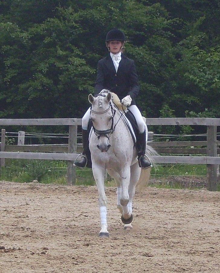 Stævne Ebeltoft Rideklub ;-) billede 120