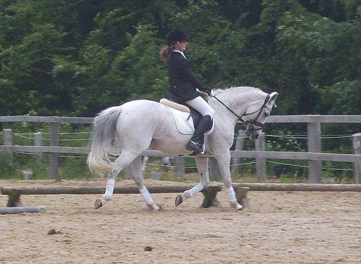 Stævne Ebeltoft Rideklub ;-) billede 121