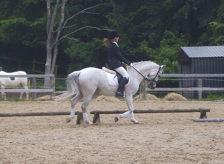 Stævne Ebeltoft Rideklub ;-) billede 122