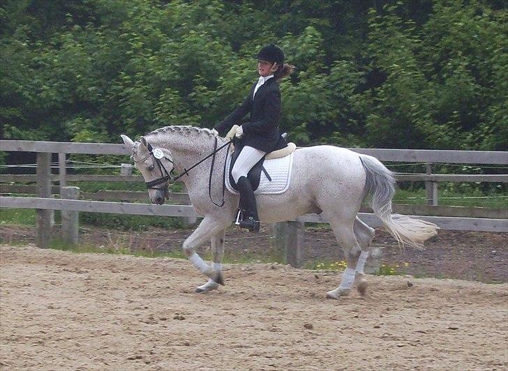 Stævne Ebeltoft Rideklub ;-) billede 124