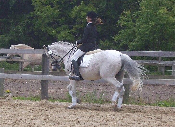 Stævne Ebeltoft Rideklub ;-) billede 125