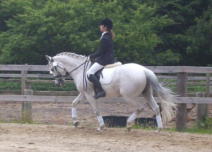 Stævne Ebeltoft Rideklub ;-) billede 126