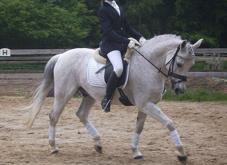 Stævne Ebeltoft Rideklub ;-) billede 127