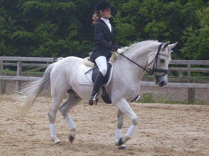 Stævne Ebeltoft Rideklub ;-) billede 128