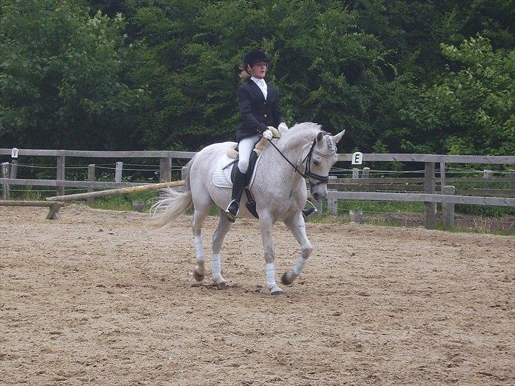 Stævne Ebeltoft Rideklub ;-) billede 129