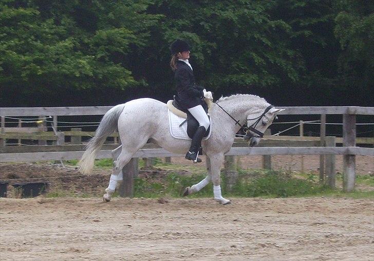 Stævne Ebeltoft Rideklub ;-) billede 130