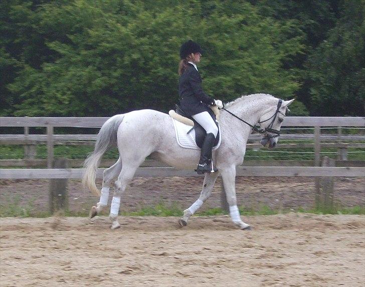 Stævne Ebeltoft Rideklub ;-) billede 131