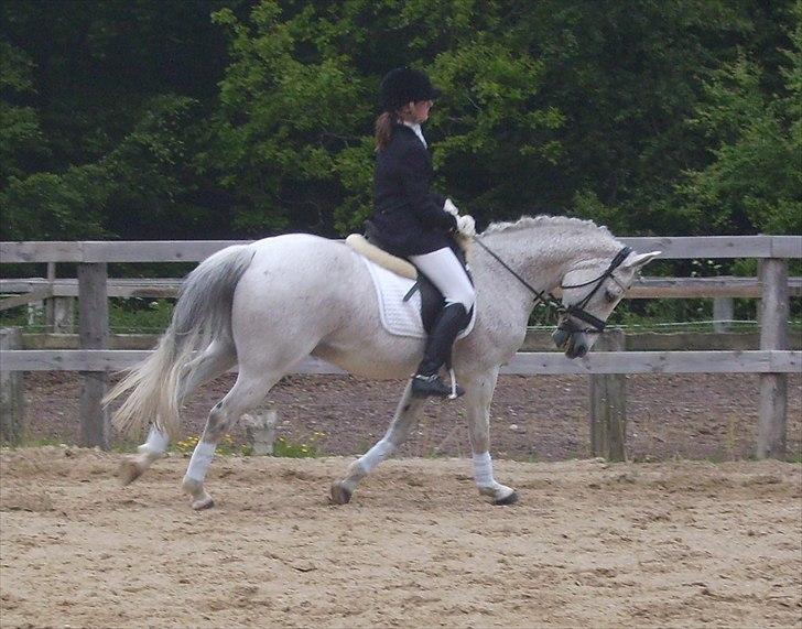 Stævne Ebeltoft Rideklub ;-) billede 132