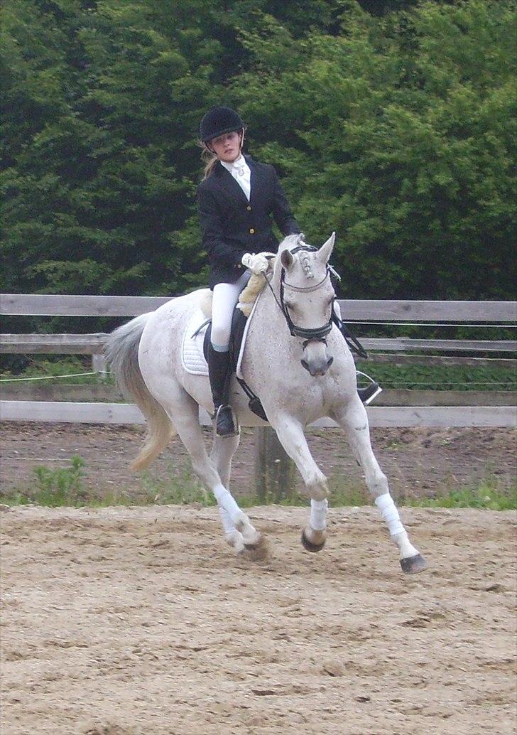 Stævne Ebeltoft Rideklub ;-) billede 133