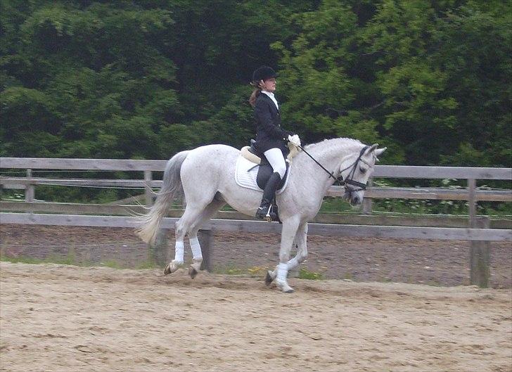 Stævne Ebeltoft Rideklub ;-) billede 134