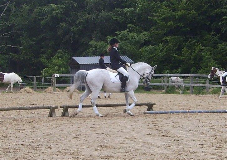 Stævne Ebeltoft Rideklub ;-) billede 135