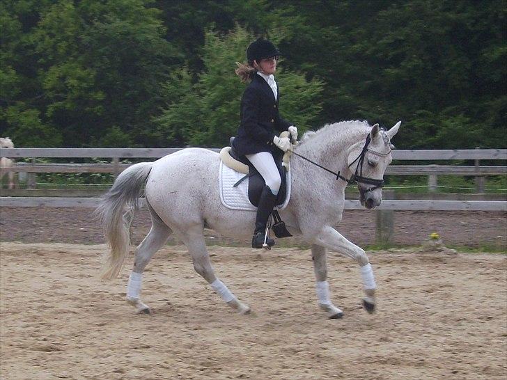 Stævne Ebeltoft Rideklub ;-) billede 136