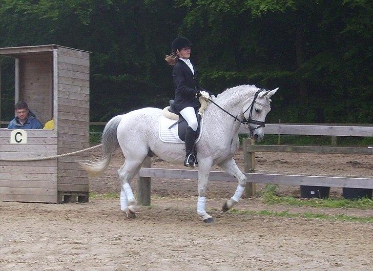 Stævne Ebeltoft Rideklub ;-) billede 137