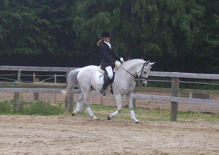 Stævne Ebeltoft Rideklub ;-) billede 138