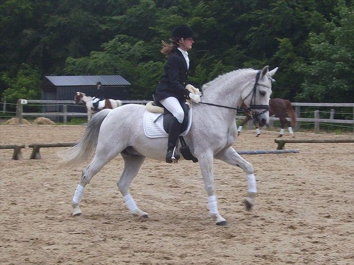 Stævne Ebeltoft Rideklub ;-) billede 139
