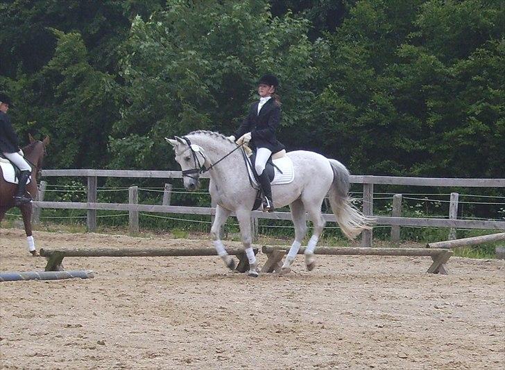 Stævne Ebeltoft Rideklub ;-) billede 140