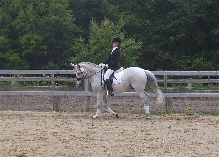 Stævne Ebeltoft Rideklub ;-) billede 141