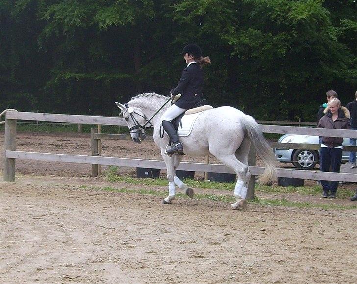 Stævne Ebeltoft Rideklub ;-) billede 142