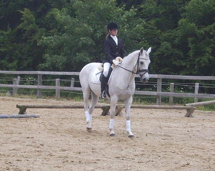 Stævne Ebeltoft Rideklub ;-) billede 143