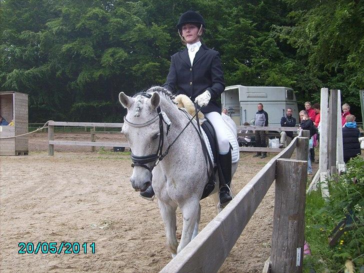 Stævne Ebeltoft Rideklub ;-) billede 144